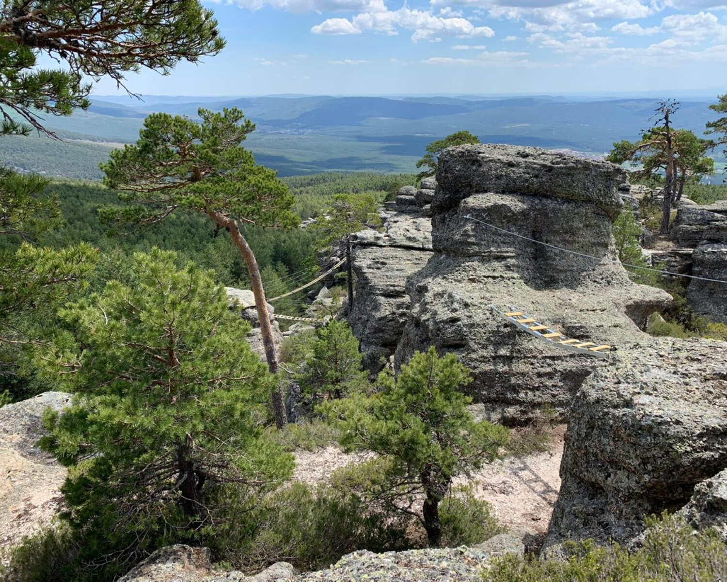 Nuestros Proyectos 15