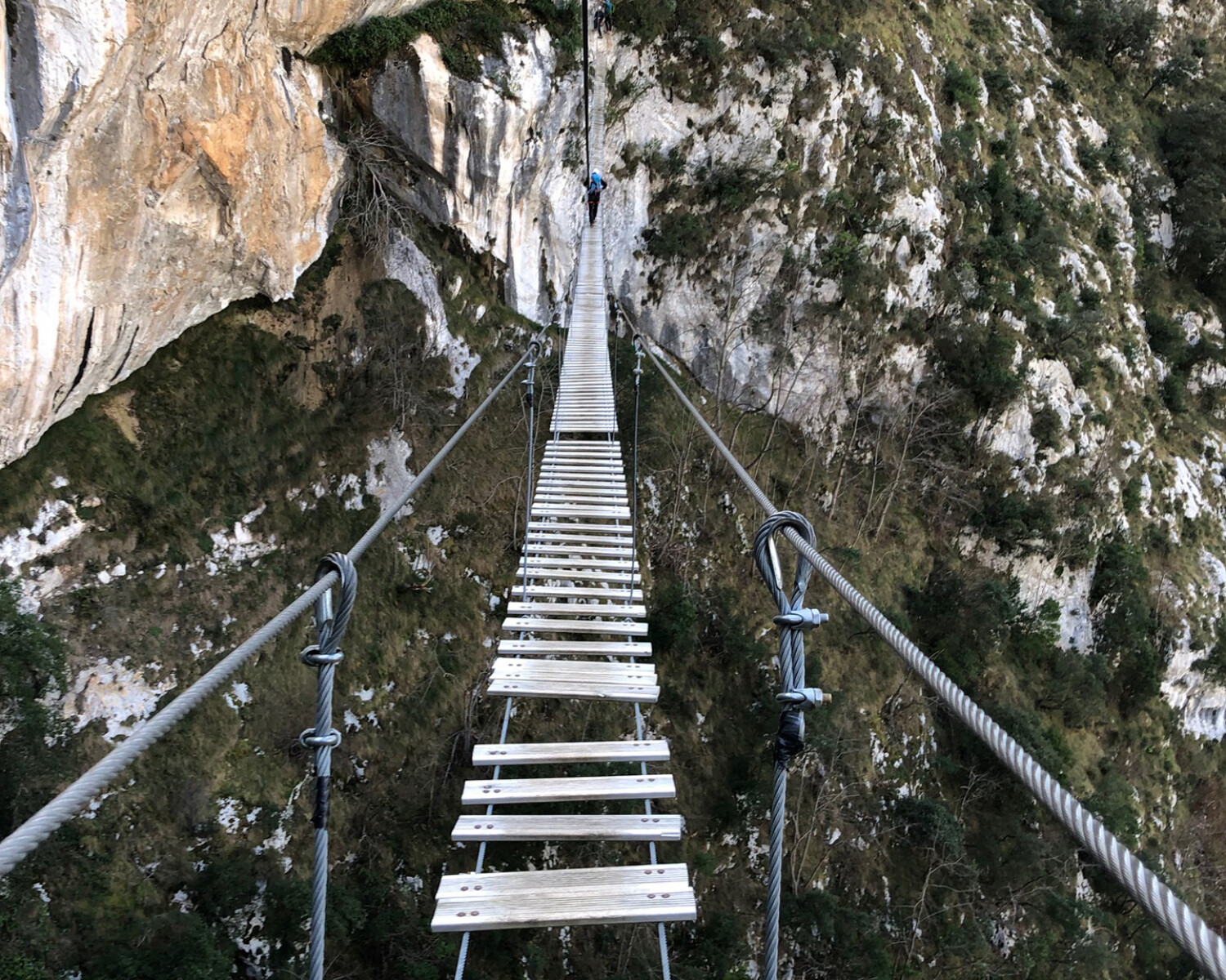 Nuestros Proyectos 16