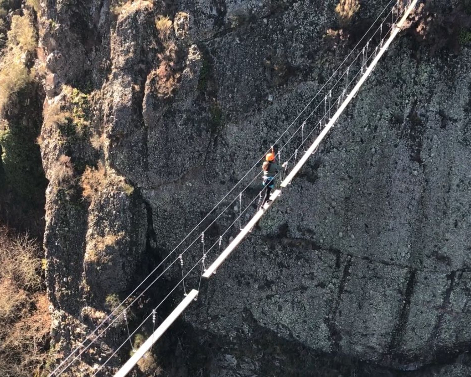 Nuestros Proyectos 7