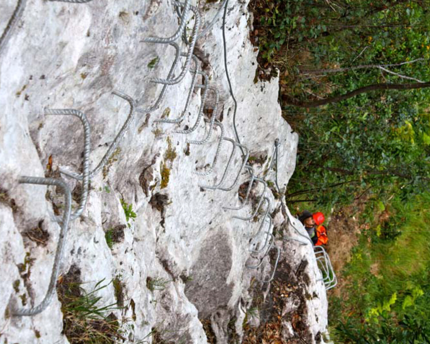 Nuestros Proyectos 5