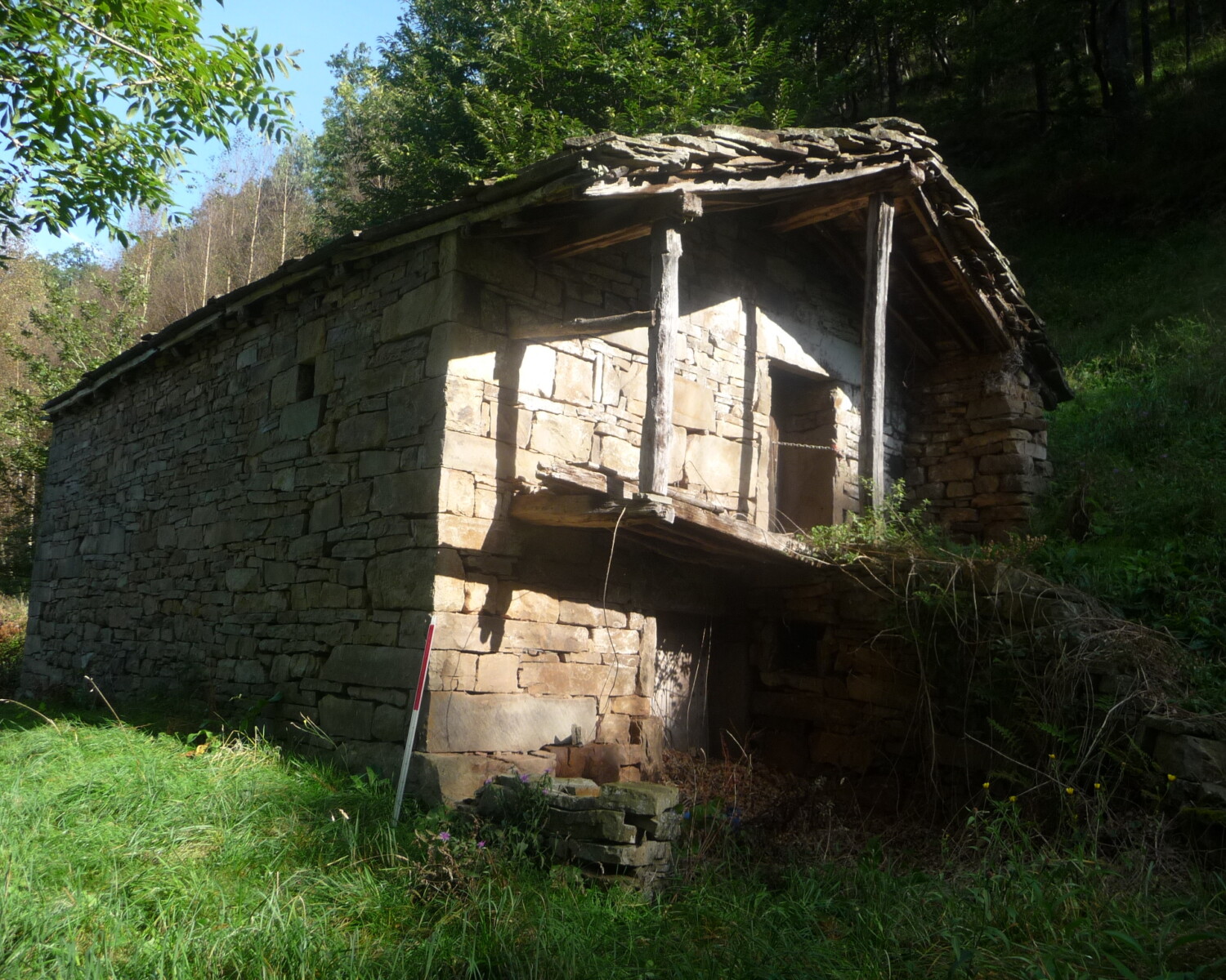 Nuestros Proyectos 11