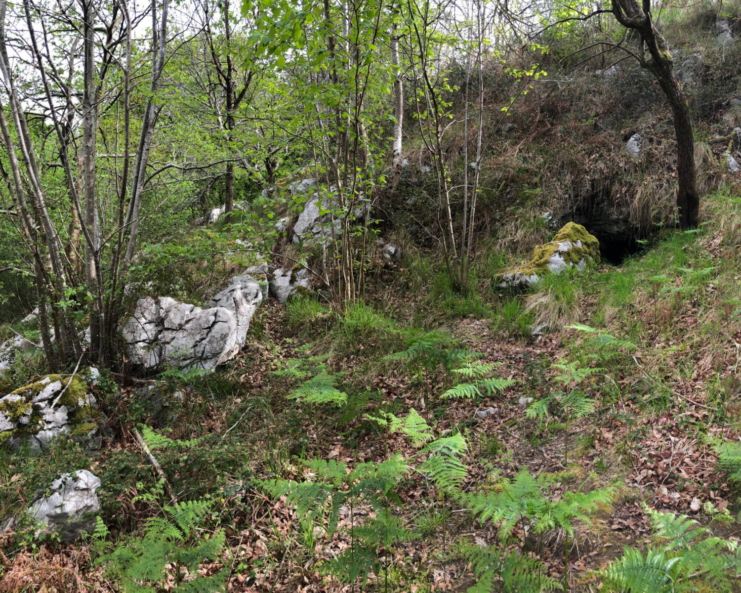 Nuestros Proyectos 4